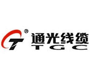 通光线缆子公司2220万元布局印度 合资公司设立的商机与投资指南