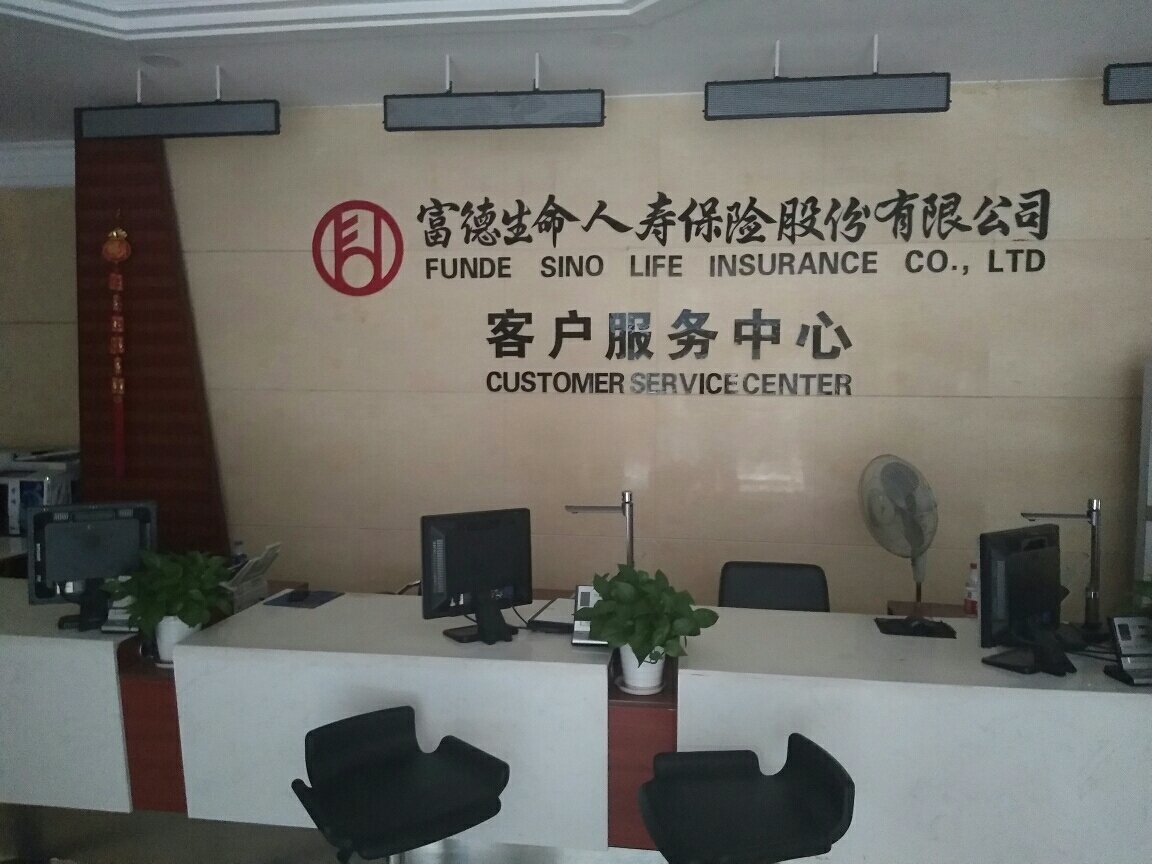 富德生命人寿保险公司投资咨询服务 推动财富稳健增长的专业之选